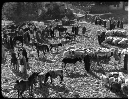 Transjordan Film Clips, Amman [people in Arab dress, horses, and sheep congregate on a dry rocky river bed, town behind, 1] [picture] : [Jordan] / [Frank Hurley]