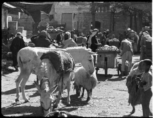 Transjordan film clips, Amman [market scene with donkeys, sheep and children foreground, produce in bins and buildings behind] [picture] : [Jordan] / [Frank Hurley]