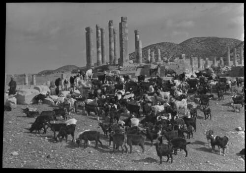 [Ruins of Tolmetta, ca. 1940-1946] [picture] : [Barqah, Libya] / [Frank Hurley]