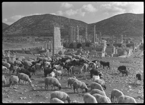 [Ruins of Tolmetta, ca. 1940-1946] [picture] : [Barqah, Libya] / [Frank Hurley]