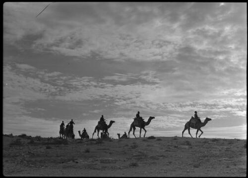 [Soldiers on camels, ca. 1940-1946, 1] [picture] : [Barqah, Libya] / [Frank Hurley]