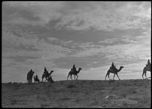 [Soldiers on camels, ca. 1940-1946, 2] [picture] : [Barqah, Libya] / [Frank Hurley]