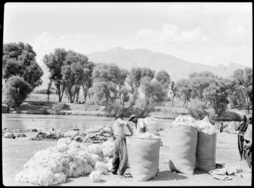 Wool scouring, the wool is used in the carpet industry [picture] : [Iran, World War II] / [Frank Hurley]