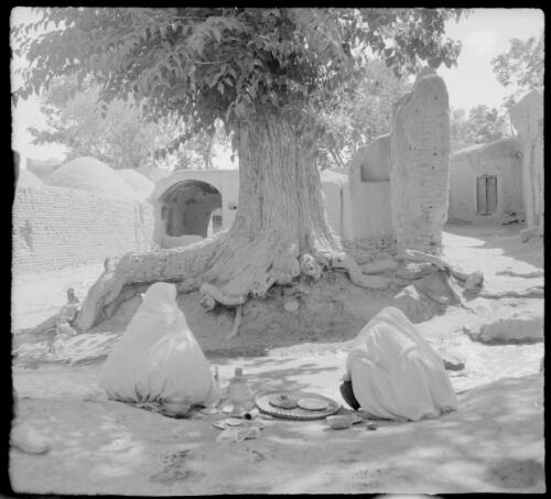 Village Rayene, South W. of Kerman [two veiled people seated in front of tree] [picture] : [Iran, World War II] / [Frank Hurley]