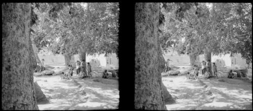 Village Rayene, South W. of Kerman [group of people in the shade of trees] [picture] : [Iran, World War II] / [Frank Hurley]