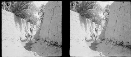 Village Rayene, South W. of Kerman [two people and a donkey on a walled-in road] [picture] : [Iran, World War II] / [Frank Hurley]