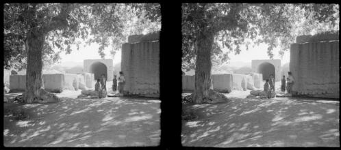 Village Rayene, South W. of Kerman [shade of a large tree, some buildings and people in the background] [picture] : [Iran, World War II] / [Frank Hurley]