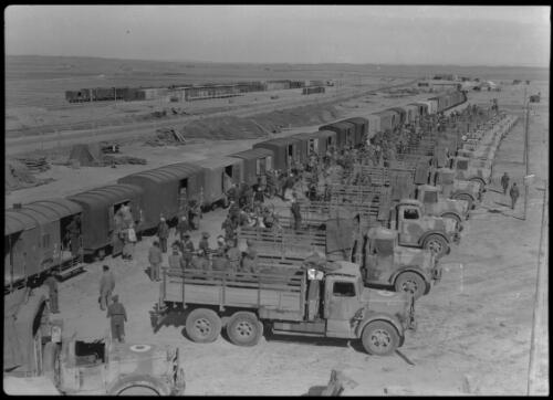 [Troops loading supplies into train carriages from the back numerous neatly aligned trucks, World War II] [picture] : [Iran] / [Frank Hurley]