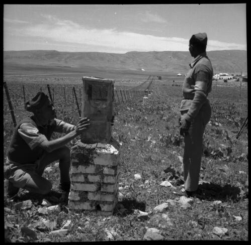 [Two male personnel spraying, one standing looking back along a barbed wire fence that stretches into the distance, World War II] [picture] : [Iran] / [Frank Hurley]