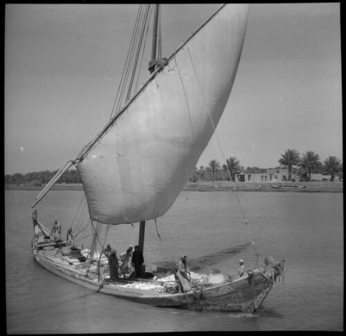 [Numerous people aboard a boat, with palm trees, buildings and a canoe like vessel visible on shore, World War II] [picture] : [Iran] / [Frank Hurley]