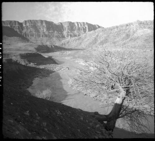 [Panorama of the landscape, World War II] [picture] : [Iran] / [Frank Hurley]