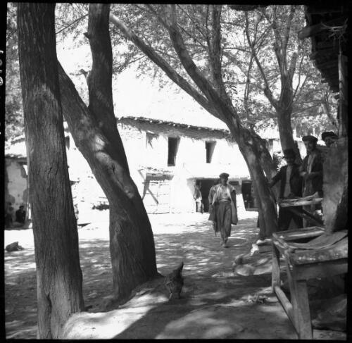 [Close up of trees, four male figures and a chicken, World War II] [picture] : [Iran] / [Frank Hurley]