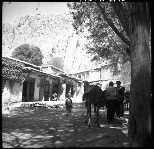 [Stable-style workshops, dirt roads, trees and numerous people, World War II] [picture] : [Iran] / [Frank Hurley]