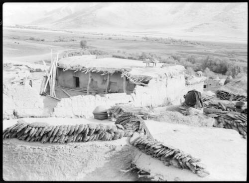 Typical village, Kermanshah Persia [picture] : [Iran, World War II] / [Frank Hurley]