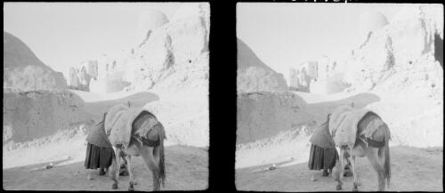 Typical type mud village between Isfahan & Kerman [woman and donkey, World War II] [picture] : [Iran] / [Frank Hurley]