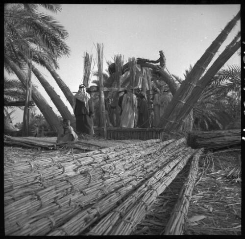Petra [building a structure with reeds ca. 1940-1946] [picture] : [Petra Valley, Jordan] / [Frank Hurley]
