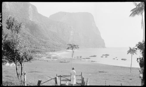[Unidentified woman with a dog looking at Mount Gower, Lord Howe Island] [picture] / [Frank Hurley]