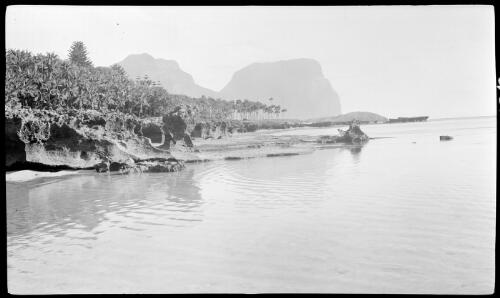 [Eroding shoreline with Mount Gower in the background, Lord Howe Island] [picture] / [Frank Hurley]