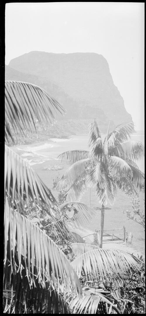 [Mount Gower, Lord Howe Island, 12] [picture] / [Frank Hurley]