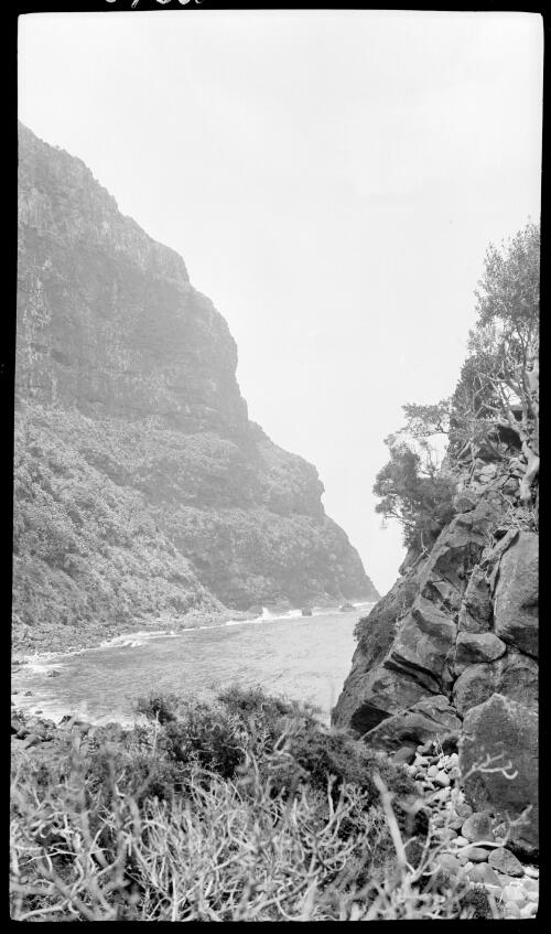 [Unidentified cove, Lord Howe Island] [picture] / [Frank Hurley]