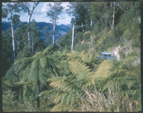 [Mount Lindesay region, with 1960s Holden station wagon, New South Wales, 4] [transparency] / [Frank Hurley]