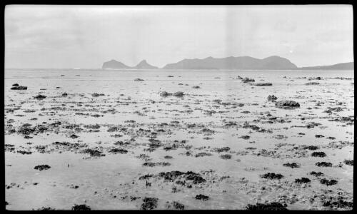 [Low tide, Lord Howe Island] [picture] / [Frank Hurley]