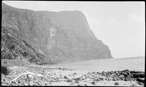 [Unidentified cove with Mount Gower in background, Lord Howe Island] [picture] / [Frank Hurley]