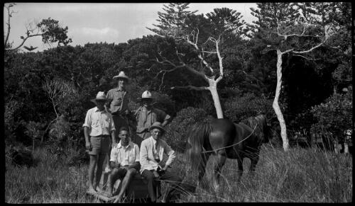 [Group of five unidentified men and a horse at the edge of the jungle, Lord Howe Island] [picture] / [Frank Hurley]