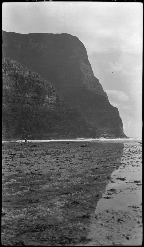 [Mount Gower towering over an unidentified cove, Lord Howe Island] [picture] / [Frank Hurley]