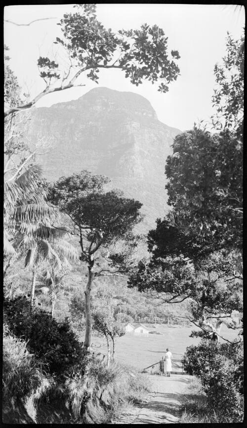 [Unidentified woman standing at a gate looking up at Mount Gower, Lord Howe Island] [picture] / [Frank Hurley]