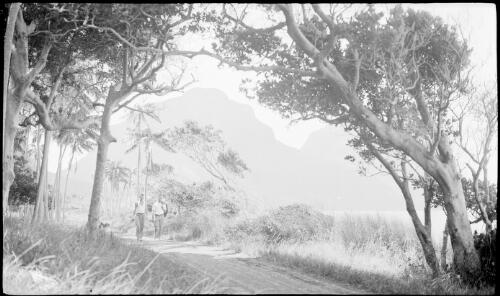 Two unidentified men walking along a dirt track, Lord Howe Island [picture] / [Frank Hurley]