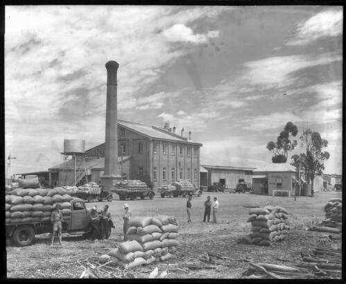 [Several trucks transporting bags of wheat] [picture] : [Australia] / [Frank Hurley]