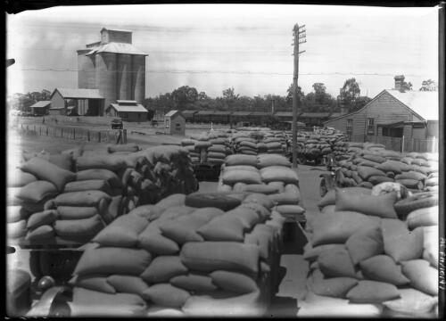 [Trucks loaded with bags of wheat] [picture] : [Australia] / [Frank Hurley]