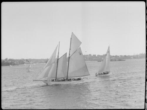 [Yacht with two masts in full sail followed by smaller yacht in full sail] [picture] / [Frank Hurley]