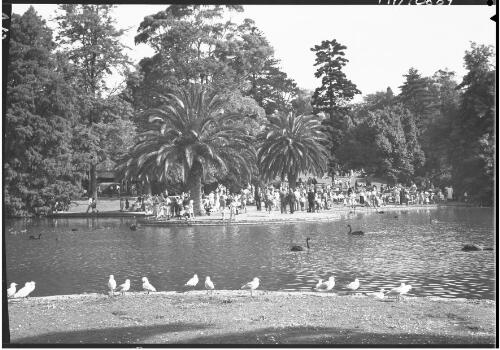View across lake in Botanical Gardens, Melbourne [picture] / [Frank Hurley]