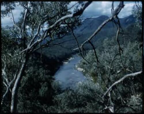 [Rural view with river and mountains, Queensland, 4] [transparency] / [Frank Hurley]