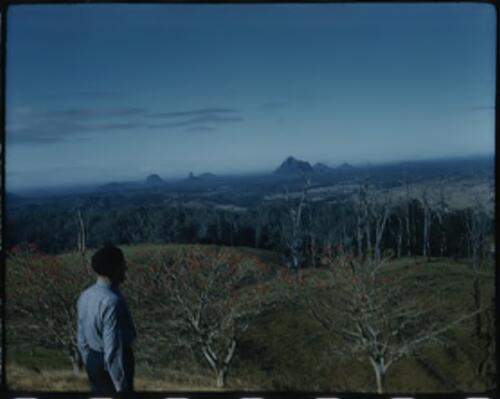 [Unidentified man looking towards Glass House Mountains, Queensland, 1] [transparency] / [Frank Hurley]