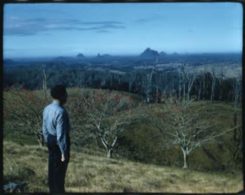 [Unidentified man looking towards Glass House Mountains, Queensland, 2] [transparency] / [Frank Hurley]
