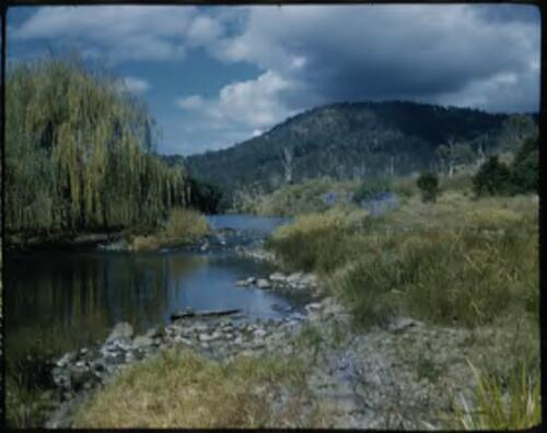 [Rural view with river and mountains, Queensland, 5] [transparency] / [Frank Hurley]