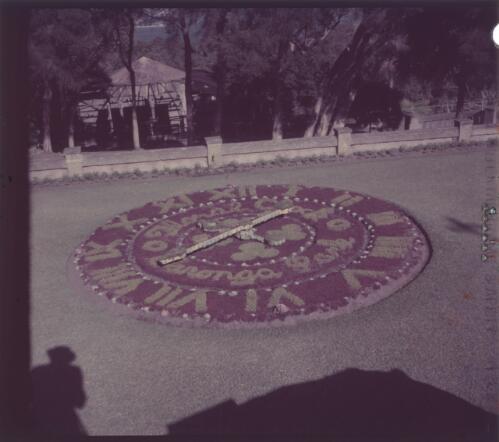 [Floral clock, Taronga Park, Sydney, New South Wales] [transparency] / [Frank Hurley]
