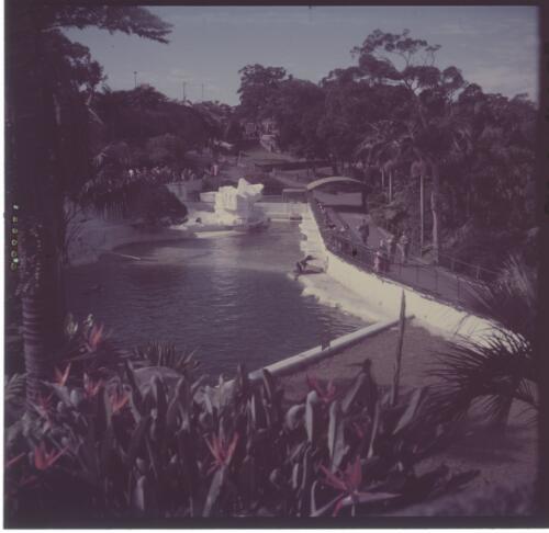 [Taronga Park, Sydney, New South Wales] [picture] / [Frank Hurley]