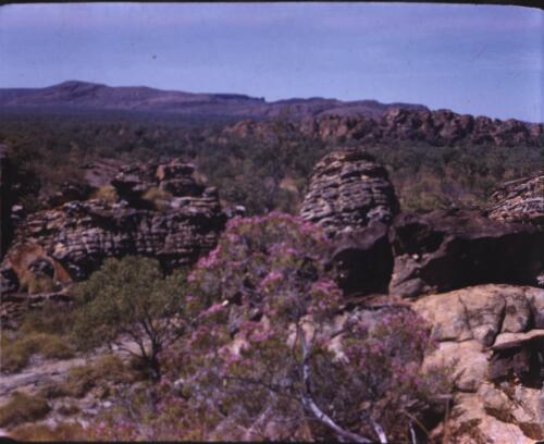 [View in the Kimberleys, Western Australia, 4] [transparency] / [Frank Hurley]