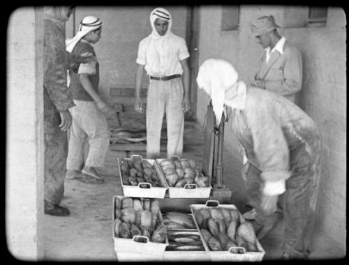 Aquaba, Jordan [five men weighting boxes of fish] : [Trans-Jordan, World War II] [picture] / [Frank Hurley]