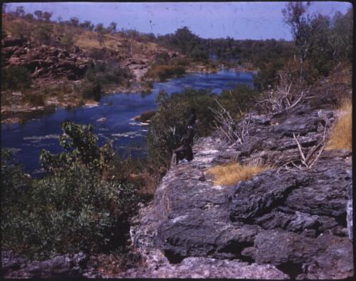 [River scene, Northern Territory, 1] [transparency] / [Frank Hurley]