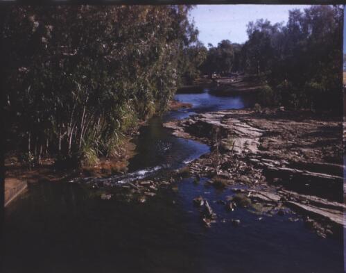 [River scene, Northern Territory, 3] [transparency] / [Frank Hurley]