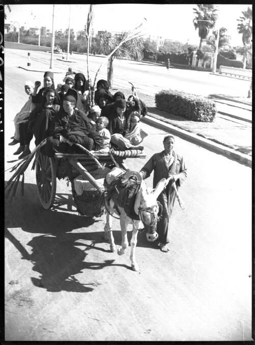 Cairo bus service [donkey, cart and driver with passengers] [picture] : [Cairo, Egypt, World War II] / [Frank Hurley]