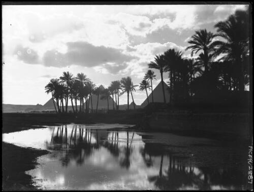 [Pyramids with palm trees reflected in the Nile River at sunset] [picture] : [Cairo, Egypt, World War II] / [Frank Hurley]