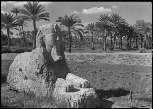 [Small statue of the sphinx with distant palm trees] [picture] : [Egypt, World War II] / [Frank Hurley]