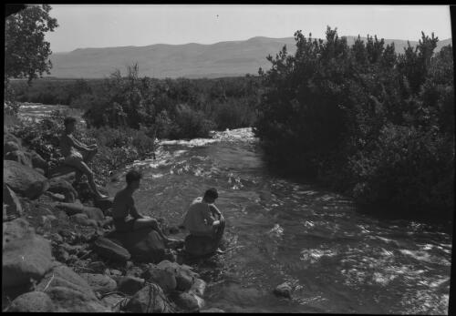 The springs of Dan, source of the Jordan [River] Palestine [picture] / [Frank Hurley]
