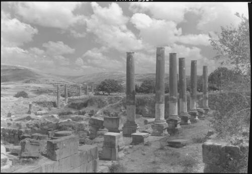 [Ancient ruin, showing a row of columns with capitals missing, 1] [picture] / [Frank Hurley]